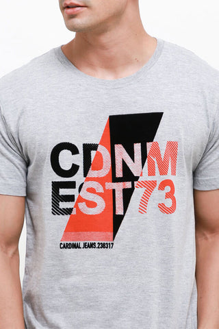 T-Shirt Pria Regular Cardinal C1854P04C