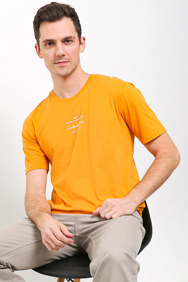 Cardinal T-Shirt Pria Big Size C2234O07D