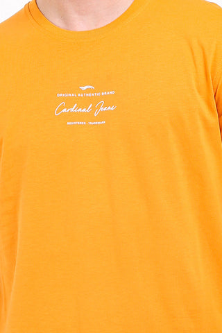 Cardinal T-Shirt Pria Big Size C2234O07D