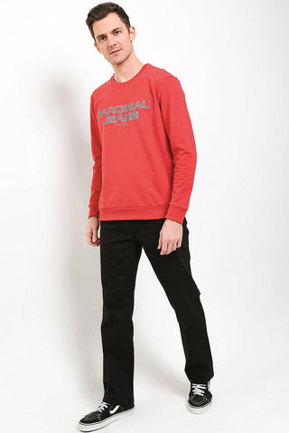 Cardinal Sweater Pria C0191J11A