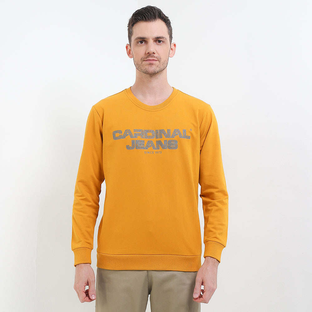 Cardinal Sweater Pria C0195J07D
