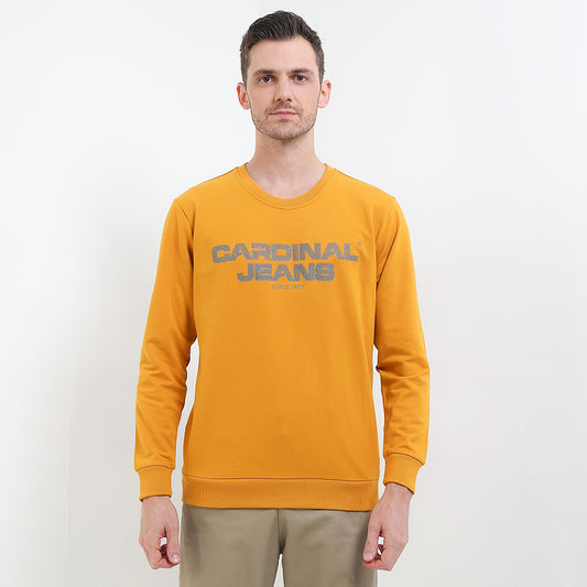 Cardinal Sweater Pria C0195J07D
