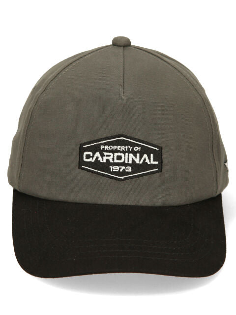 Cardinal Topi Regular Pria E0573XXXX