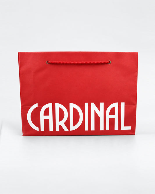 Cardinal Paper Bag SDPB01MXX