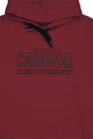 Cardinal Kids Sweater T0102JN11A