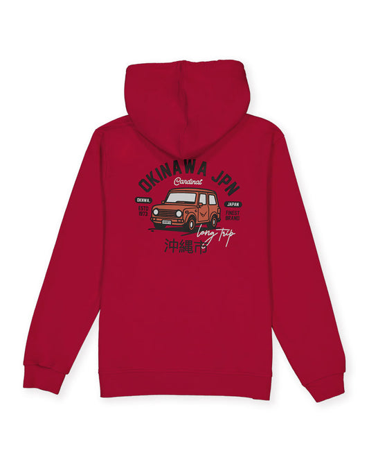 Cardinal Kids Sweater T0109JN11A