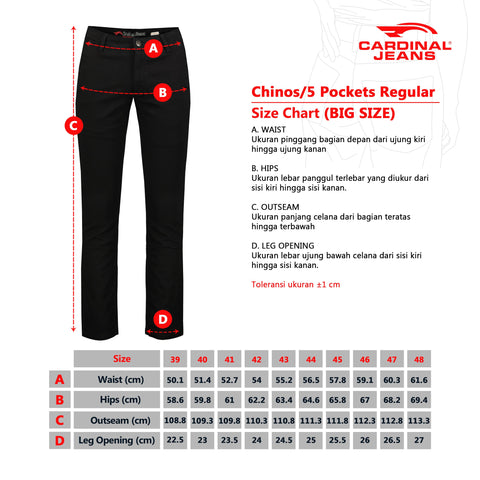 CELANA JEANS REGULAR 3 BIG SIZE (INDIGO)
