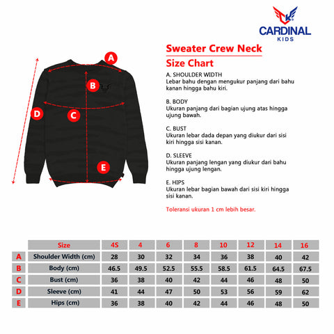 Cardinal Kids Sweater T0102JN11A